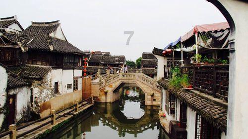史小坑的爆笑生活11